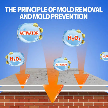 Haromora® Fast-Acting Mould Erase Spray